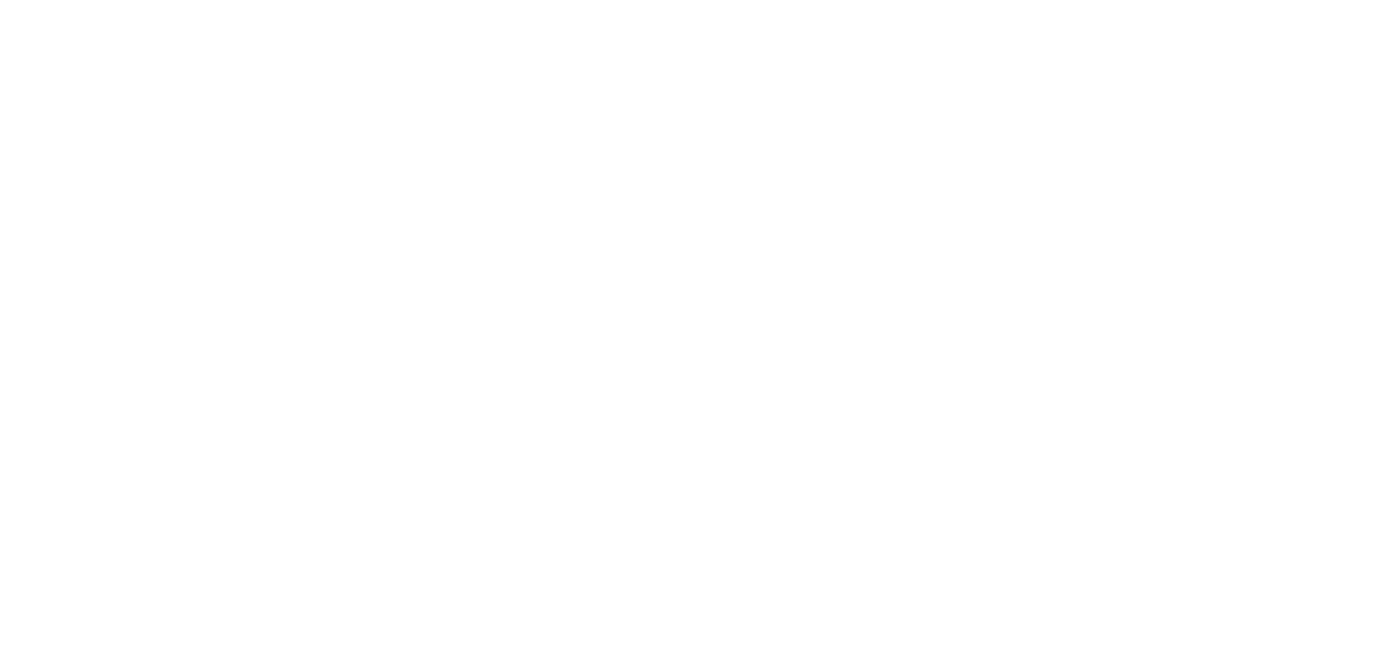 UNFYS-logo-white